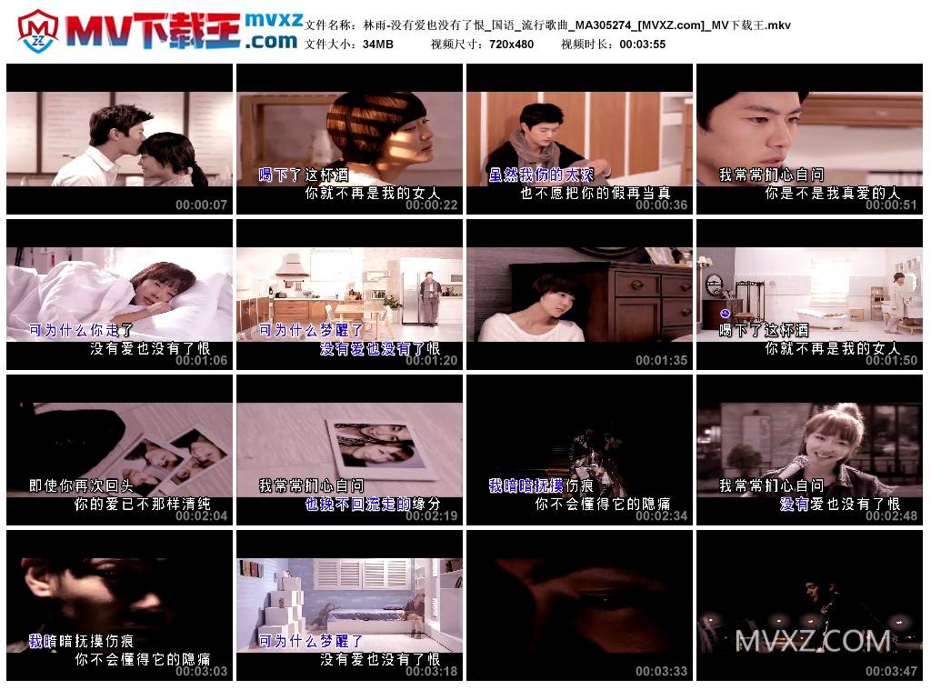 林雨-没有爱也没有了恨_国语_流行歌曲_MA305274